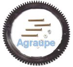 BRIGGS GEAR-RING 495765